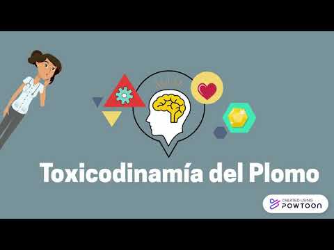 Toxicocinética y toxicodinamía del Plomo