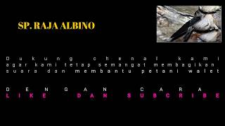 Download lagu SP RAJA ALBINO mp3