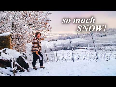 Working the land of our old farm in the hills of Piemonte