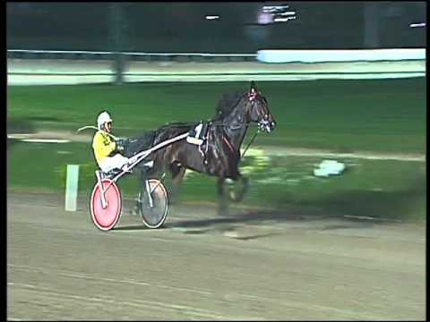 Trotto 22/11/2015 - 8° corsa