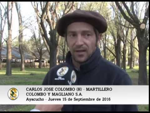 15-09-16 - Carlos José Colombo (h) - Colombo y Magliano S A