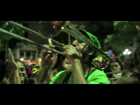 Amigos da Onça Carnaval