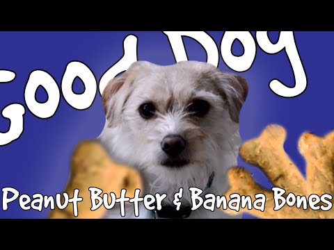 download lagu mp3 mp4 Peanut Butter Banana Dog Treats Grain Free, download lagu Peanut Butter Banana Dog Treats Grain Free gratis, unduh video klip Peanut Butter Banana Dog Treats Grain Free