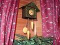 Cuckoo Clock