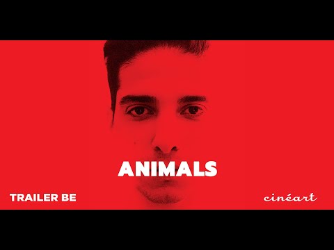 Animals Trailer (Dutch/Flemish subs)