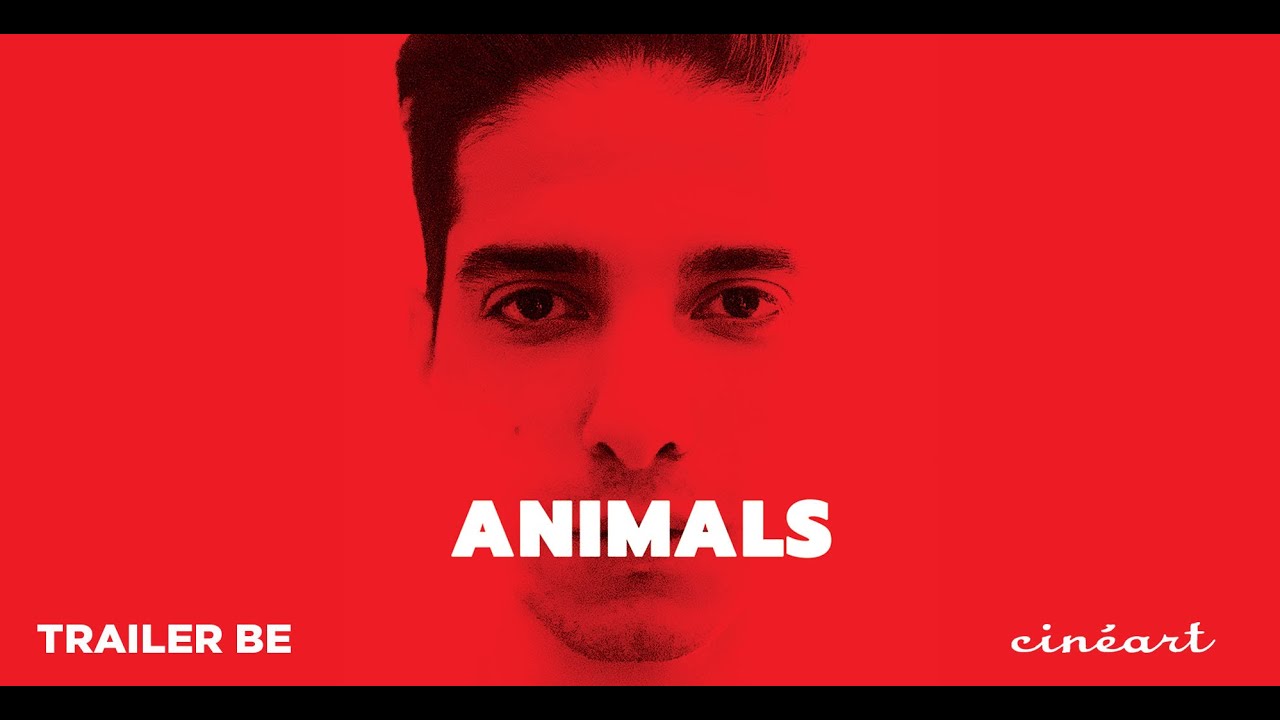 Miniature de la vidéo Animals Trailer (Dutch/Flemish subs) du film Animals
