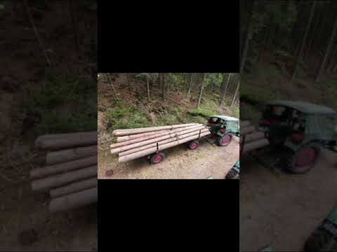 Alt, aber immer noch im Dienst 2 60 Jahre alte Dieselrösser leisten gute Arbeit