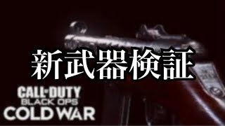 【BOCW実況】SR実況者がSMG検証してみた