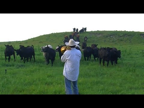 牛とトロンボーン "Old Town Road" のサムネイル