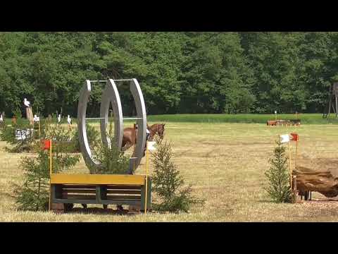 2021 06 04 Lorsandos Geländepferde L in Ostbevern