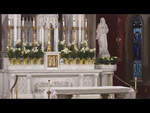 2021 0411 HNJ Thibodeaux 2nd Sunday of Easter THOMAS