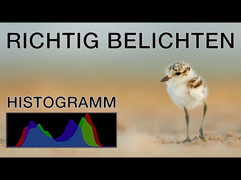 How to expose your photos correctly - Part 1: Histogram explained simply