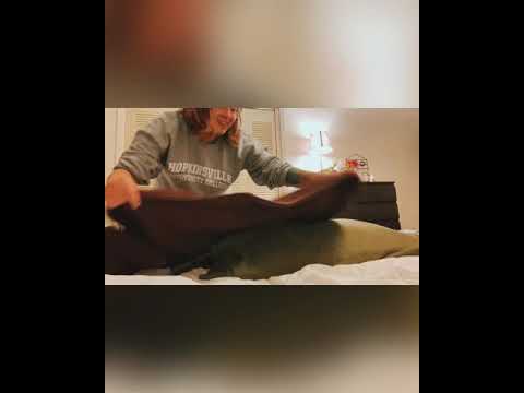 Catheter Care for male resident