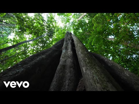 Quincy Davis - Warrior ft. Desirae Harp