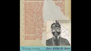 Teenage Guitar (Robert Pollard)- Come See The Supermoon