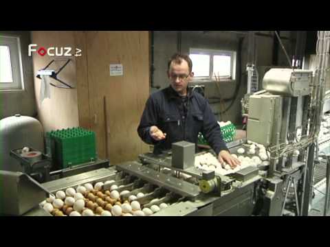 De Boer Op - aflevering 2 - 19 maart 2013