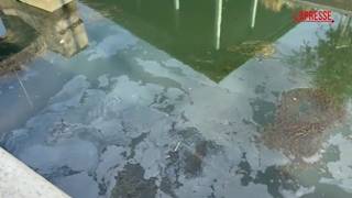 L'enorme chiazza oleosa sversata nel Naviglio grande a Milano, barriere per contenerla