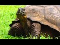 National Geographic Endeavour In Galápagos May 7 2015