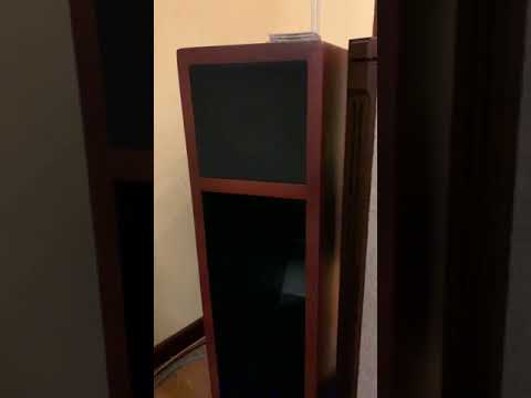 Audio note OTO SE phono signature working demo   Lacking bass  for lowther