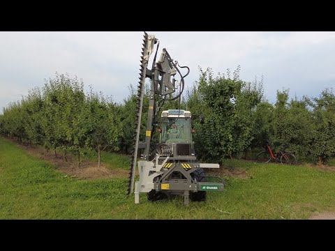фото обрезка плодовых садов механическая контурная 0