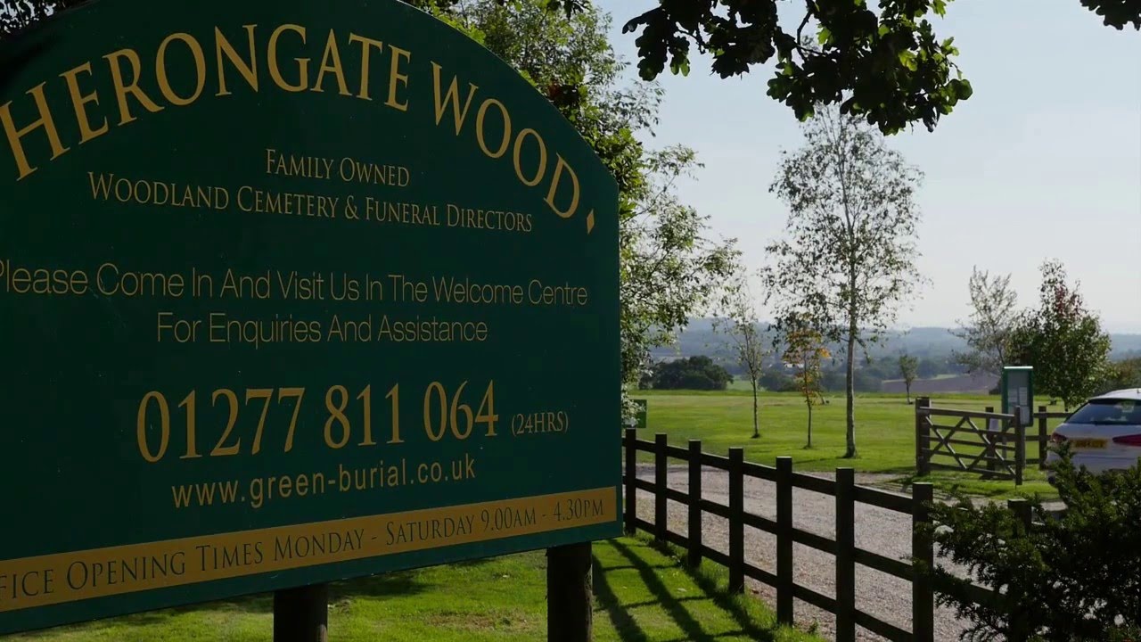 Welcome to Herongate Wood