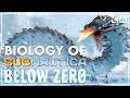 The Biology Of Subnautica Below Zero Part I
