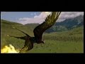 The Chronicles Of Narnia DVD Advert
