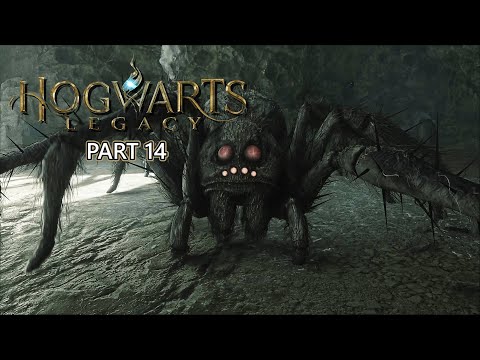 Hogwarts Legacy Gameplay Walkthrough Part 14