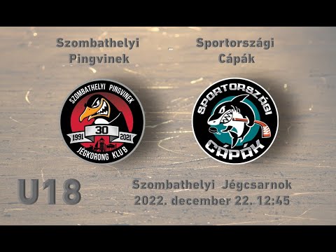 U18 122 Szombathelyi Pingvinek - Sportországi Cápák (élő közvetítés)