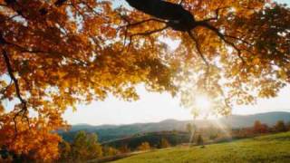 Caitlin and Will - Address in the Stars With Lyrics