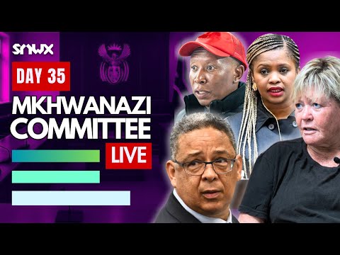 MPs grill Robert McBride