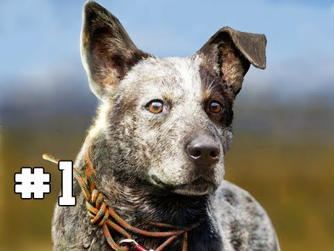 Far Cry 5 Gameplay Walkthrough Part 1 - BOOMER (Hands on Impressions)