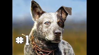 Far Cry 5 Gameplay Walkthrough Part 1 - BOOMER (Hands on Impressions)