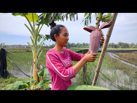 Best Banana Flower Recipe | How to Make Chicken Soup With Banana Flower! AZOE Cooking Style.