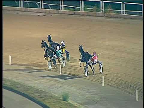 Trotto 19/08/2017 - 2ª prova di qualifica