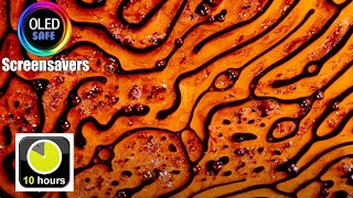 Liquid Ink Abstract 2 Multi Color - 10 Hours - 4K - OLED Safe