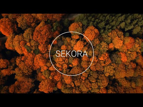 Autumn Dreams - Melodic House Mix