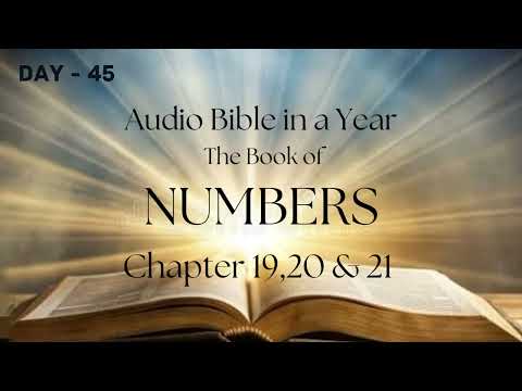 Audio Bible In A Year  DAY  45