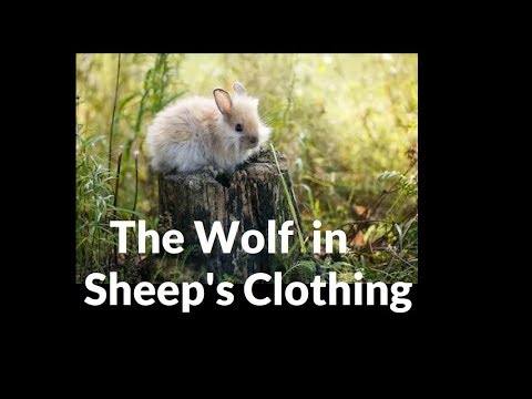 Wolf-in-Sheep's-Clothing monster lore video