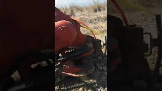 بيع حفارة الخنادق Ditch-Witch H932 - صورة 5 | Machineryline QA حفارة الخنادق Ditch-Witch H932 | صورة 5 - Machineryline