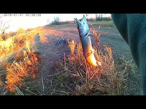РЫБАЛКА НА ЛЕСНОМ ОЗЕРЕ! FISHING ON A FOREST LAKE!