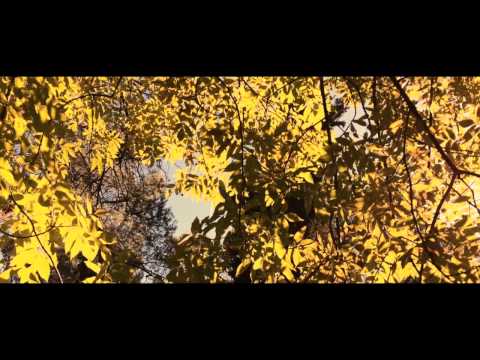 iPhone 5S : The park of Fara in Sabina