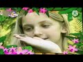 Baby TV The Amazing World Frogs