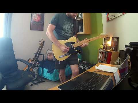 Ween - Homo Rainbow Live Guitar Cover