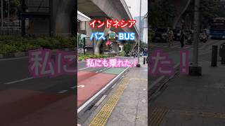 🇮🇩インドネシアJakartaでバスに初挑戦キレイでビックリ🤩#jakarta #バス #bis #bus