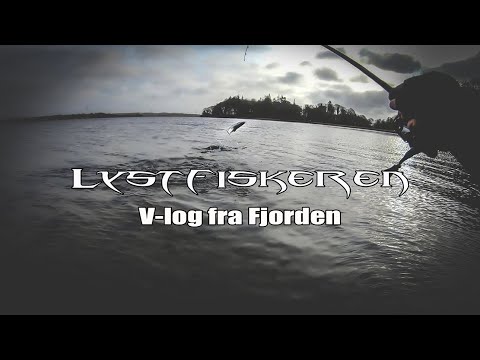 V-log fra Fjorden d