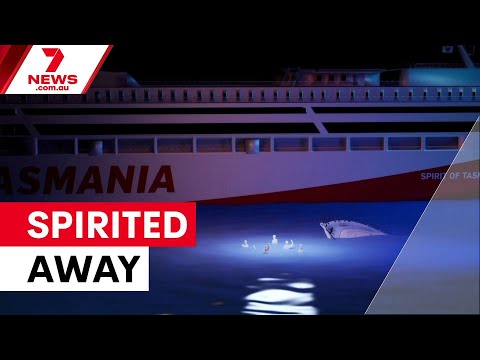 That's the spirit: Ferry skipper saves seven people during a dramatic bay rescue | 7NEWS