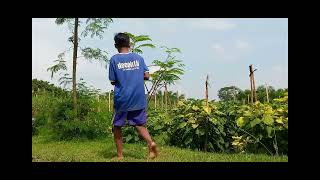 Download lagu trik ampuh mikat ciblek sawah pakai pulut lidi rumput di pucuk lanjaran mp3 Download lagu trik ampuh mikat ciblek sawah pakai pulut lidi rumput di pucuk lanjaran mp3