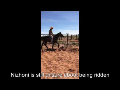 Mustang Challenge Week 6b Extreme Mustang Makeover 2017 (Pt. 6 of 14)