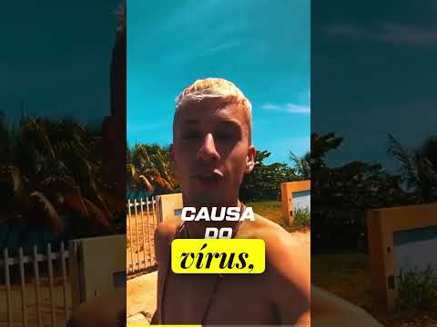 Porto Rico: Beleza e semelhança com o Brasil
